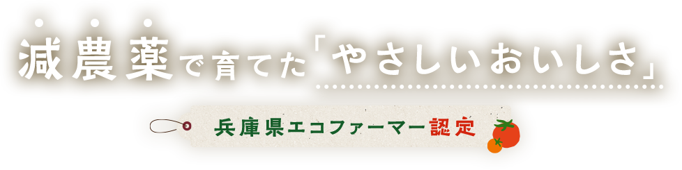 減農薬で育てた「やさしいおいしさ」兵庫県エコファーマー認定