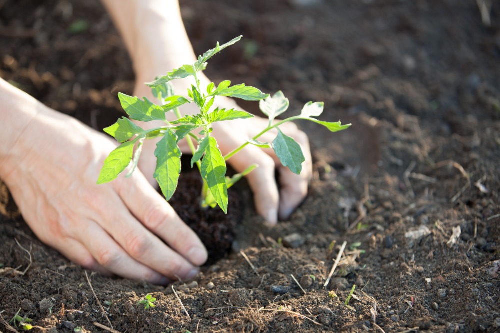 安心・安全の証
