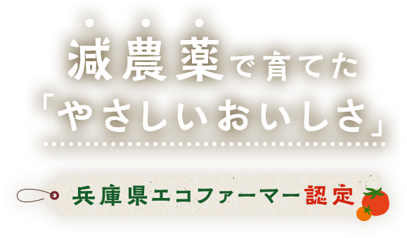 減農薬で育てた「やさしいおいしさ」兵庫県エコファーマー認定